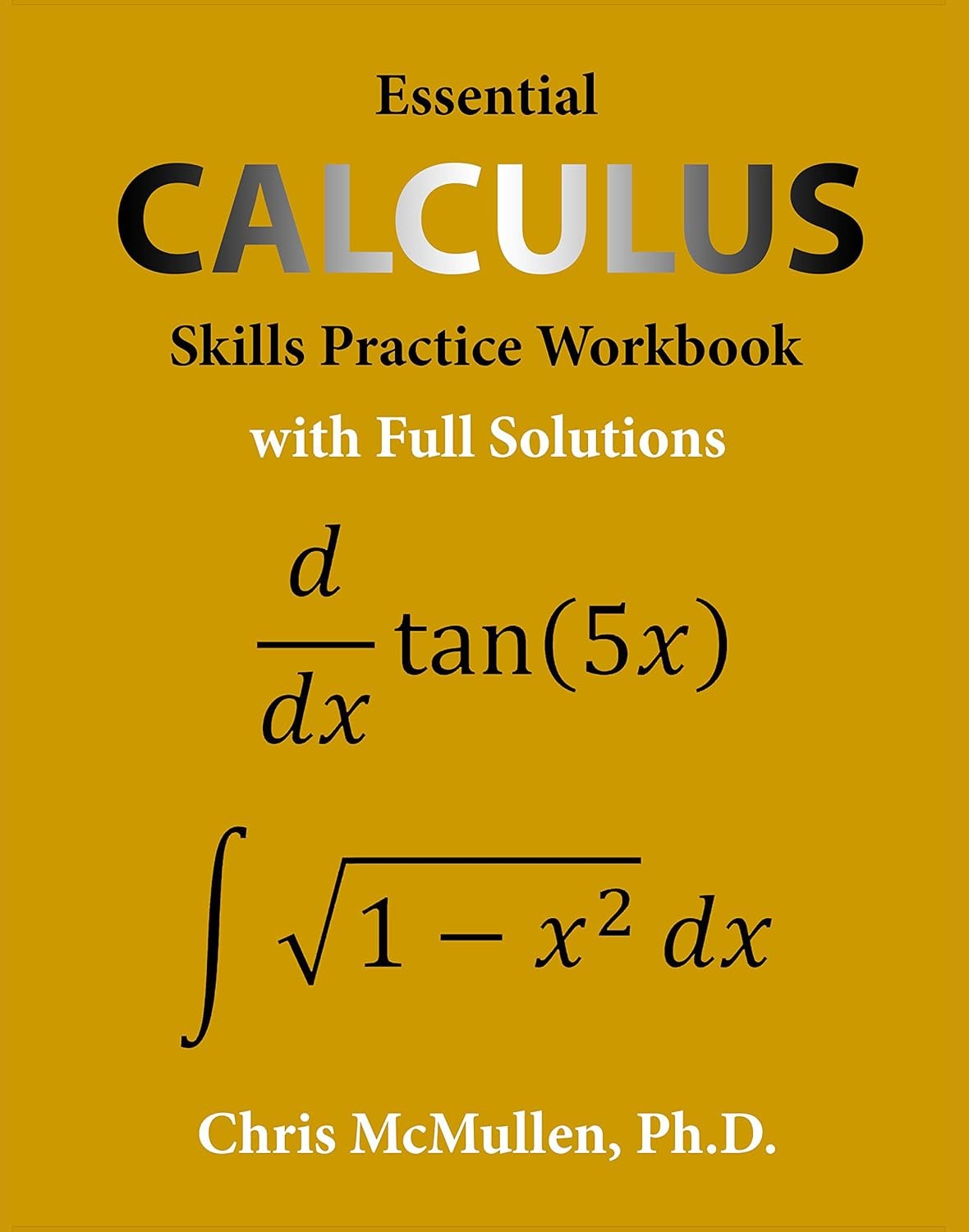 Master Essential Calculus Skills with This Workbook