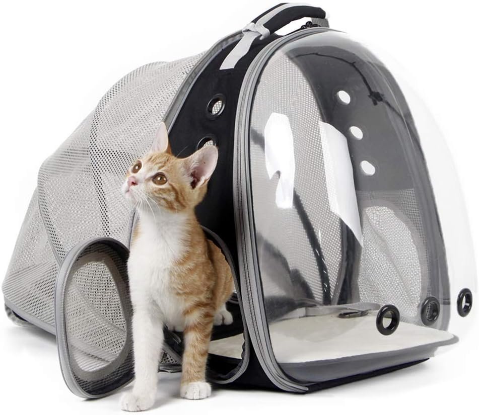 Bubble Window Cat Backpack: See Your Pet's Happy Face