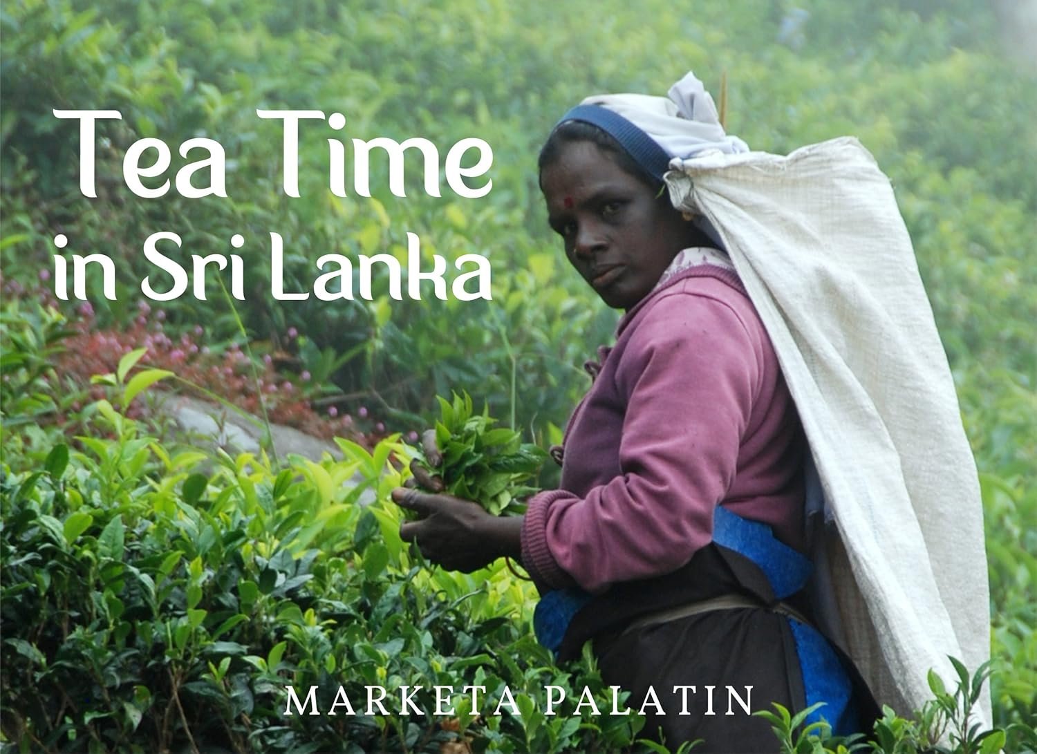 Explore Sri Lanka's Tea Gardens through Stunning Photography