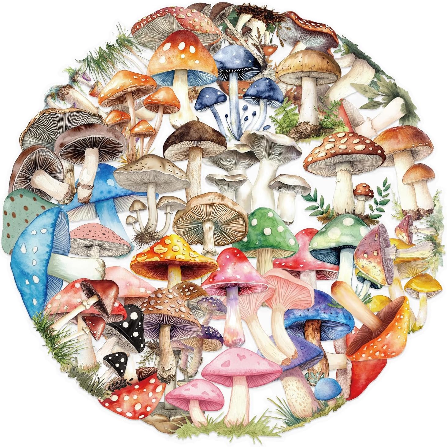 Express Yourself: Vibrant Stickers for Every Surface