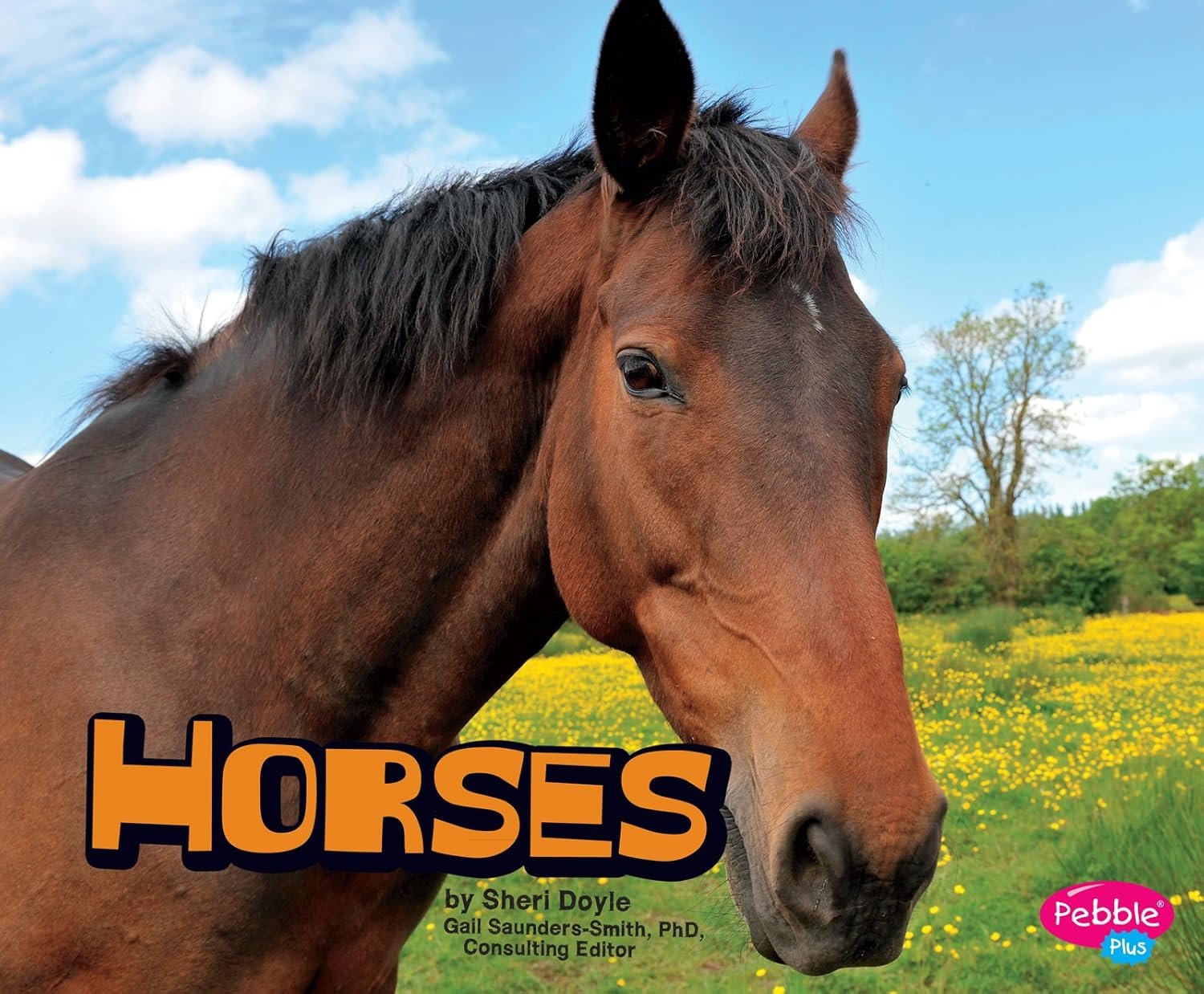Meet the Horses: Your Farm Animal Friends