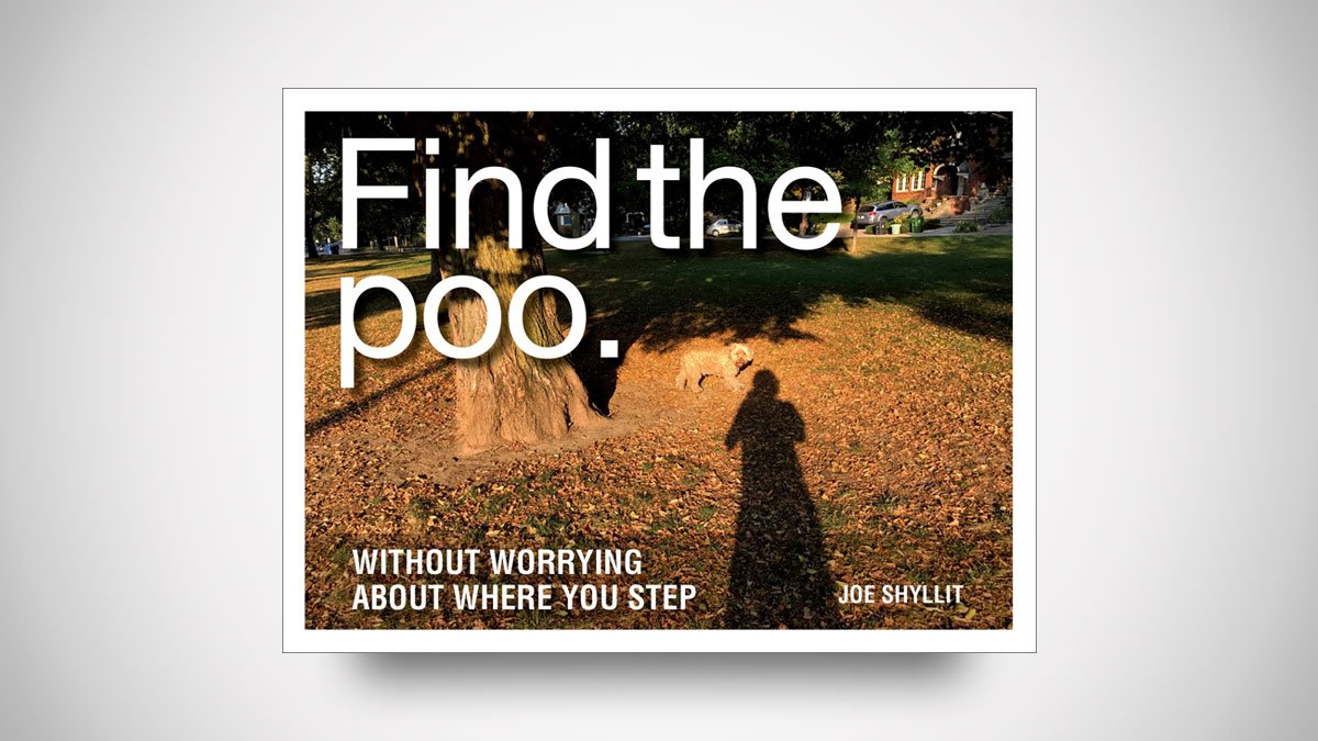 Find the Poo - A Seek & Find Book