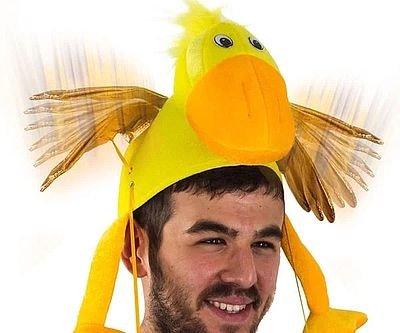 Flapping Wing Duck Hat