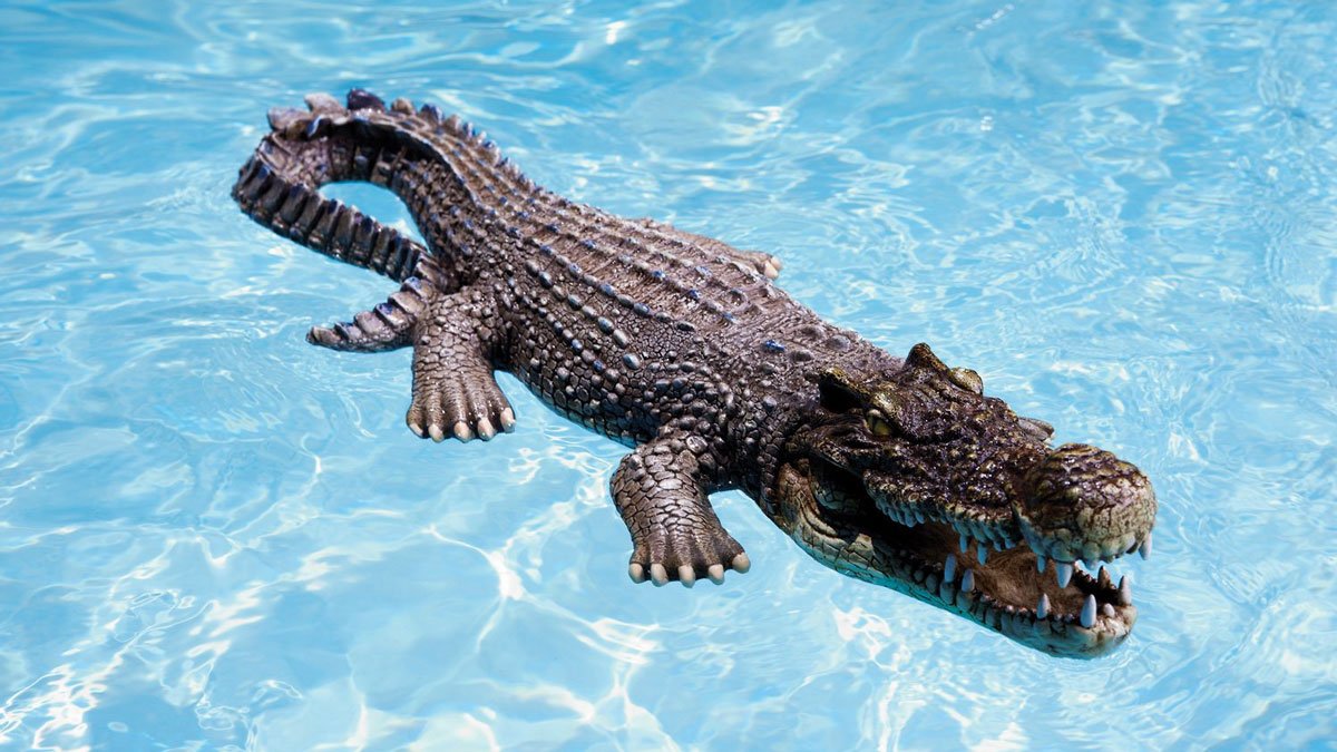 Floating Crocodile Pool & Pond Decoy
