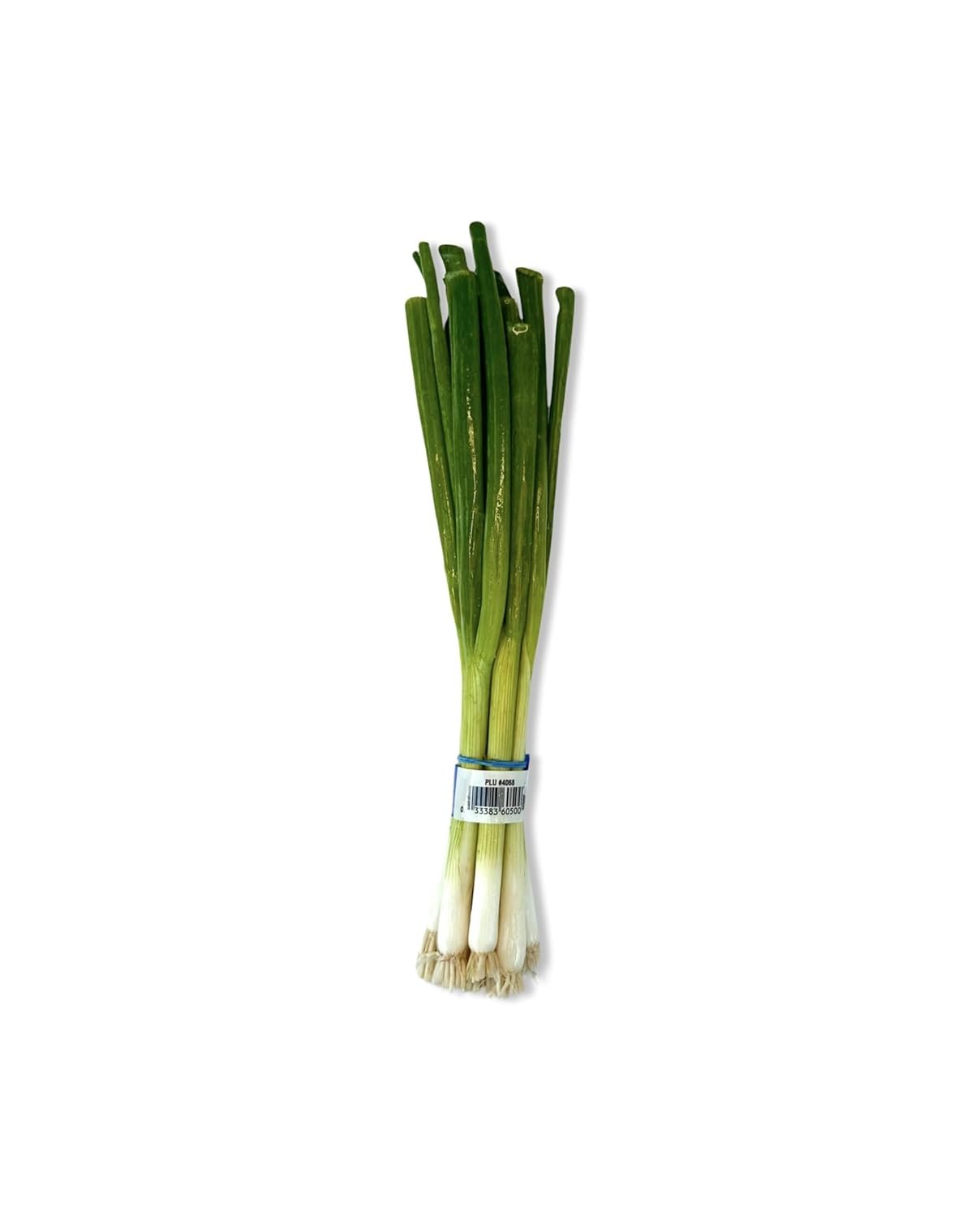 Fresh Green Onions for Every Dish