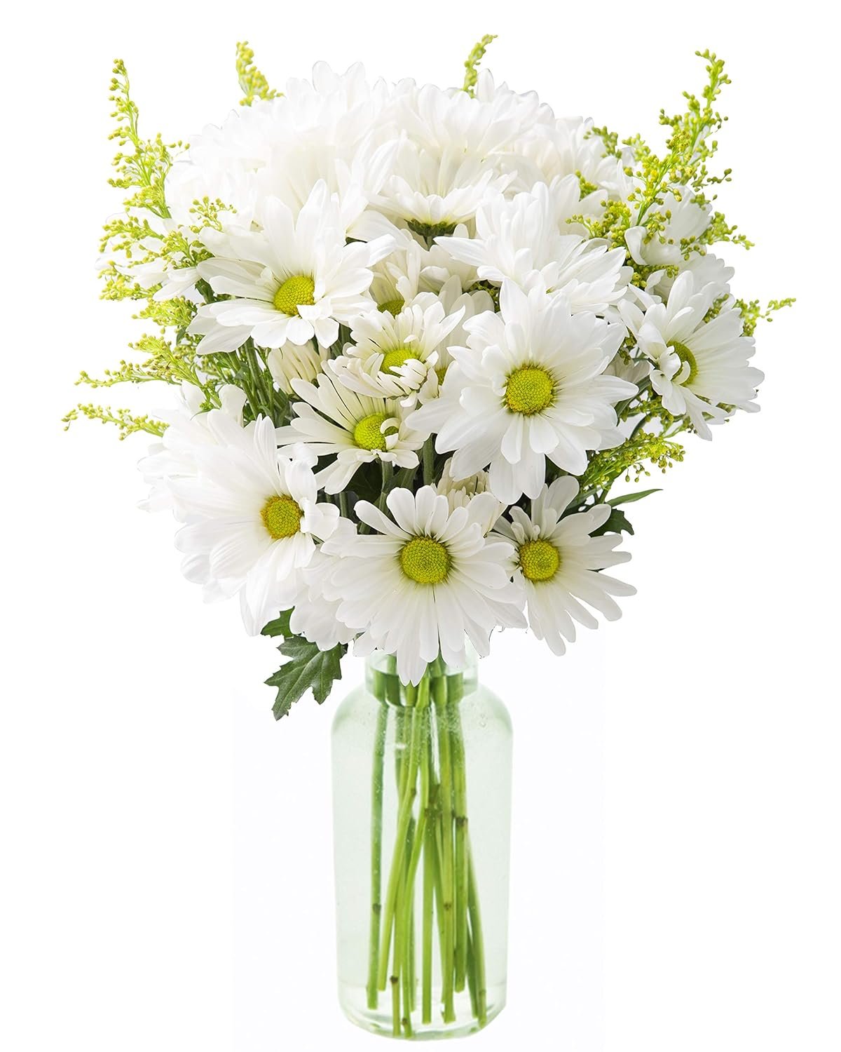 Fresh White Daisies Bouquet - Winter Cheer