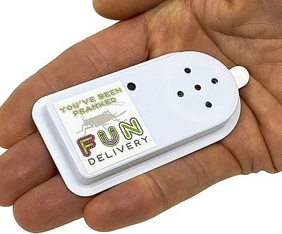 Annoying Chirping Cricket Box