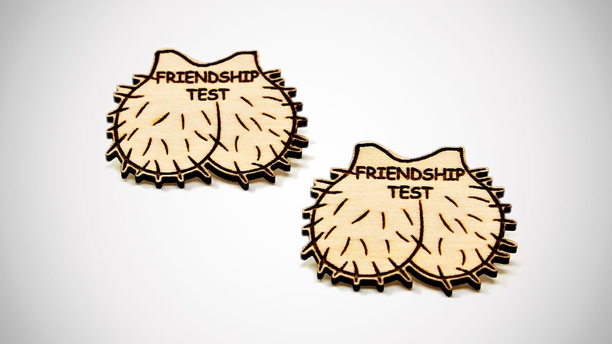 Friendship Test Pin Set