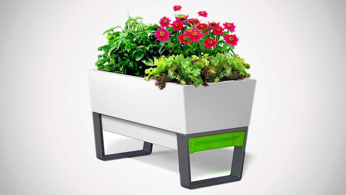 Glowpear Urban Garden Self-Watering Planters