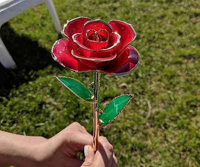 Gold Dipper Real Rose