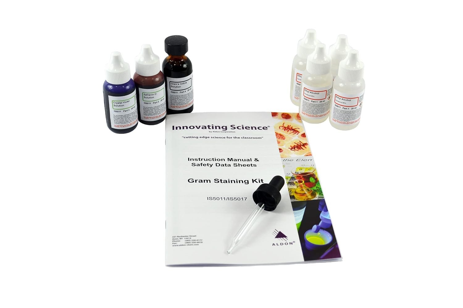 Identify Bacteria Like a Pro: Gram Stain Kit