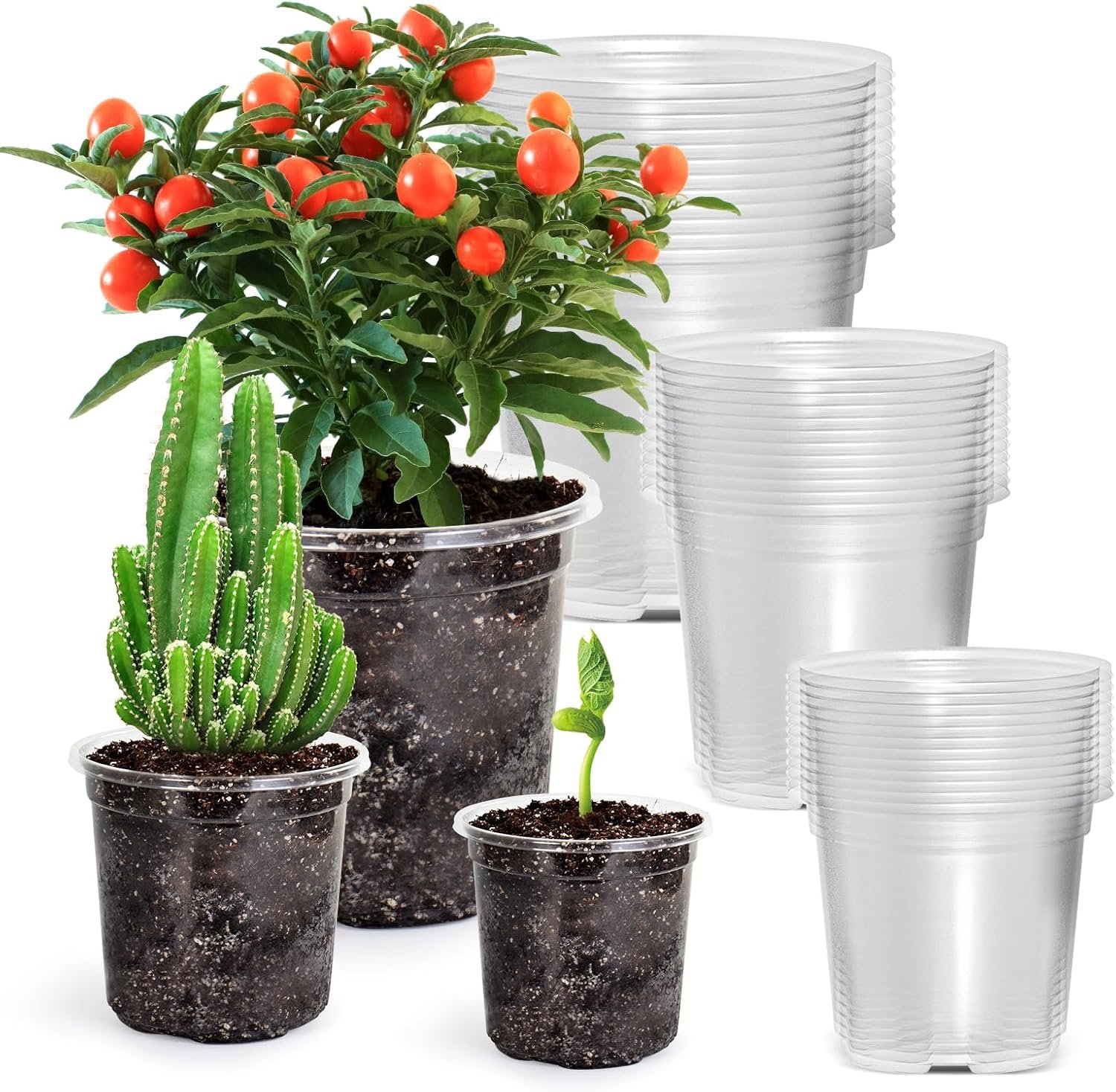 Grow Gardening Success with Reinforced Nursery Pots