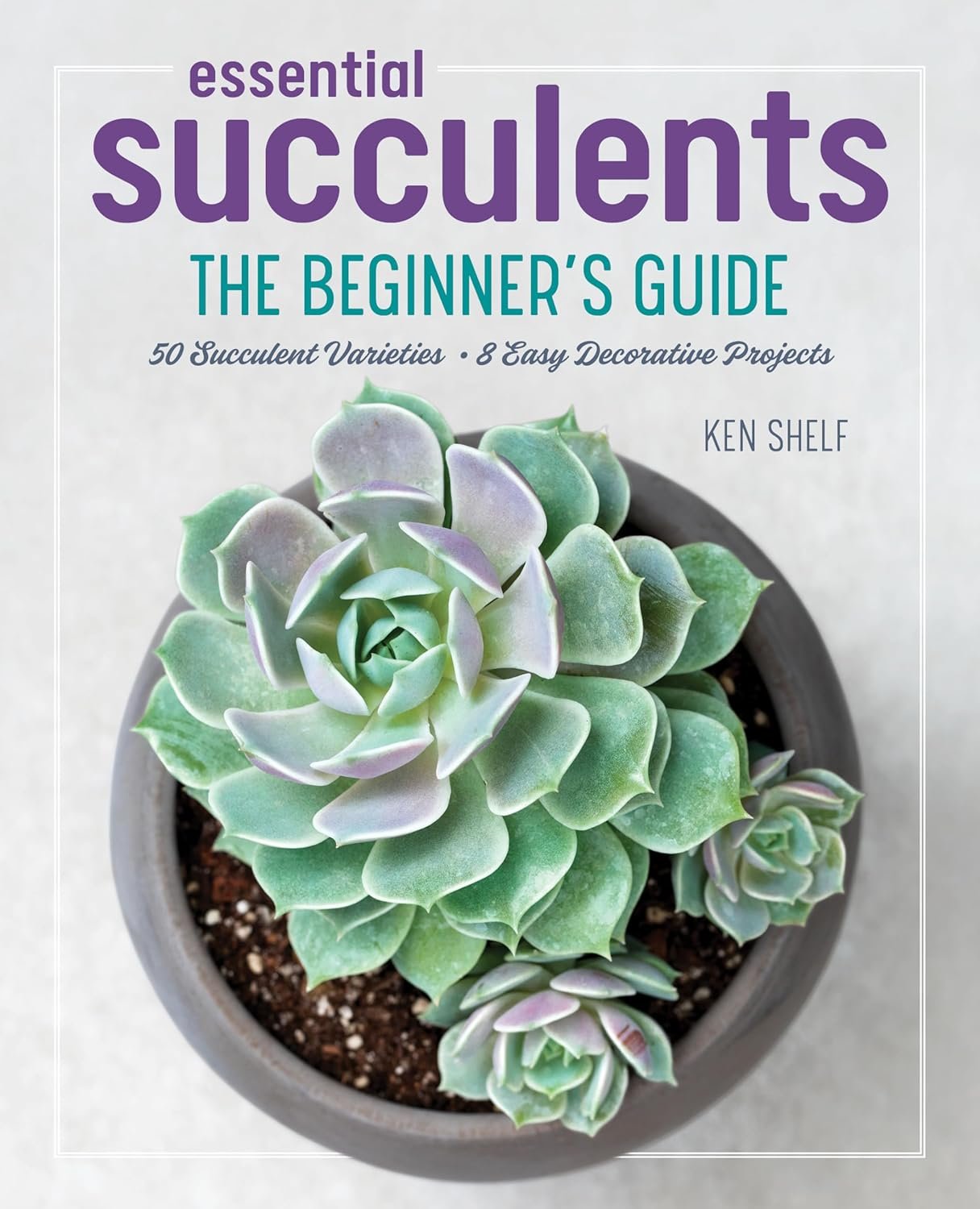 Grow Your Green Thumb with Essential Succulents