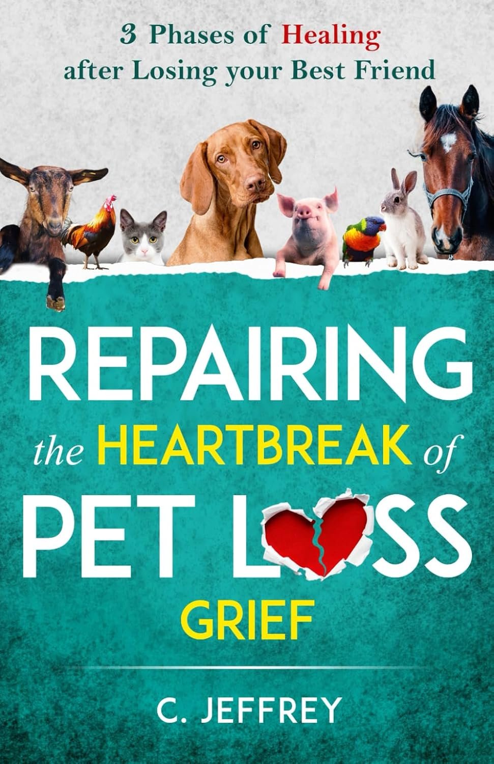 Heal Pet Loss Grief: 3 Healing Phases