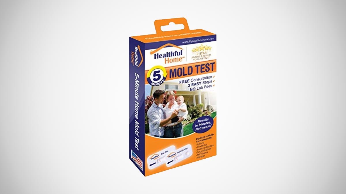 Healthful Home 5-Minute Mold Test Kit