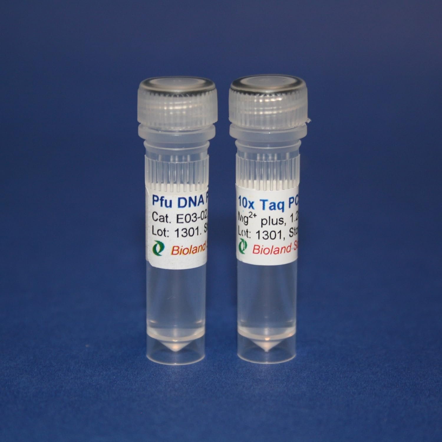 High-Fidelity Pfu DNA Polymerase for Precision PCR