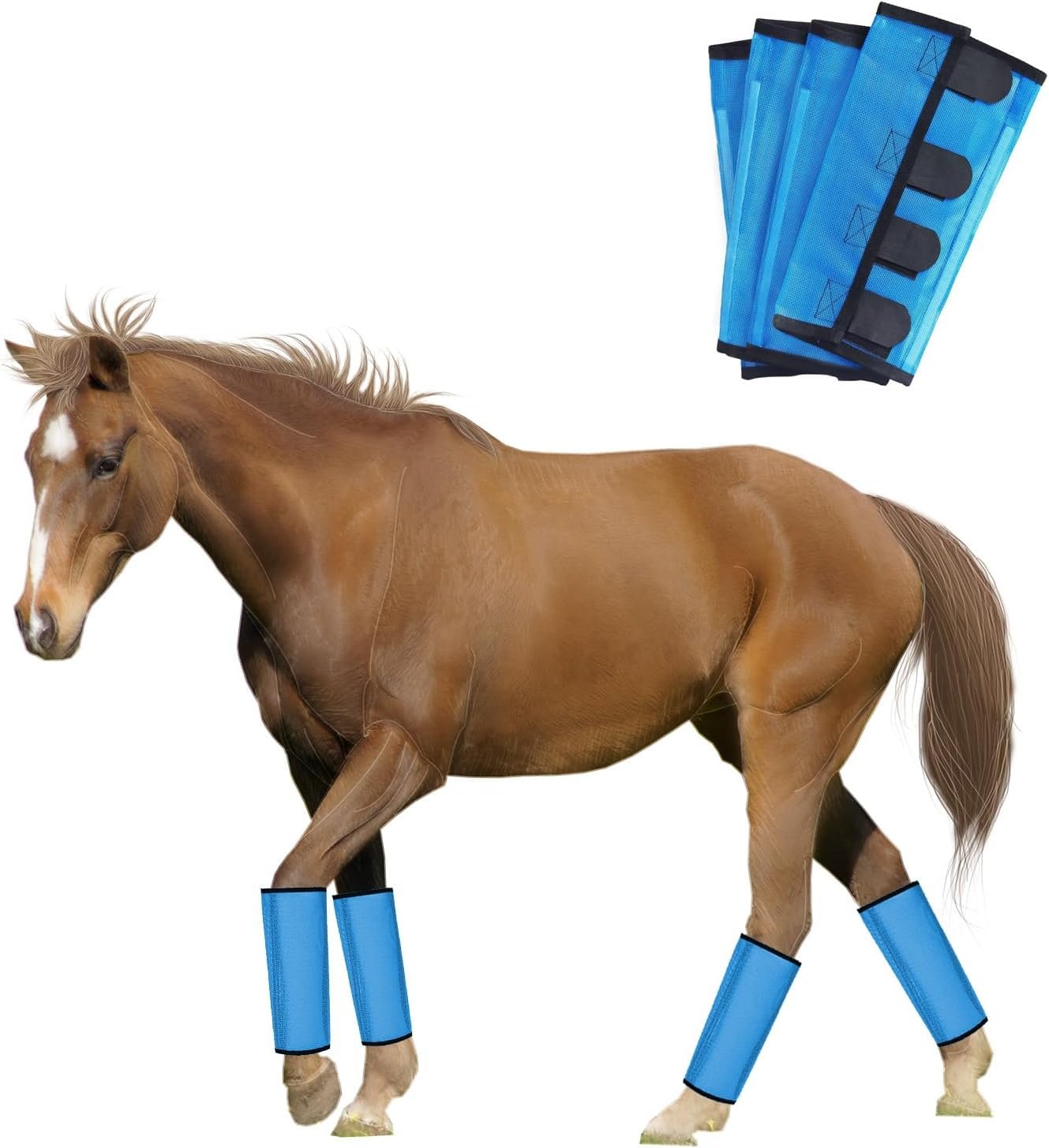 Horse Fly Protection Boots: Reduce Stomping & Comfort