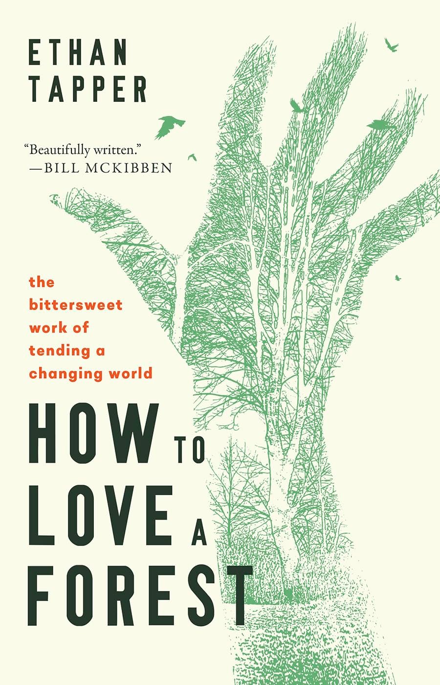 How to Love a Forest: A Forester's Bittersweet Wisdom