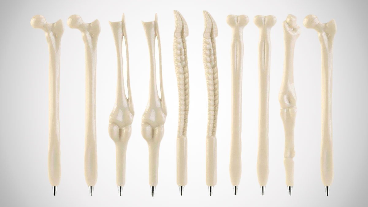 Human Bones Ballpoint Pen Set
