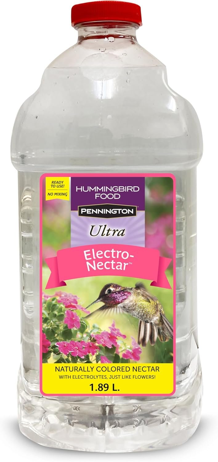 Delight Hummingbirds with Clear Electro-Nectar Food