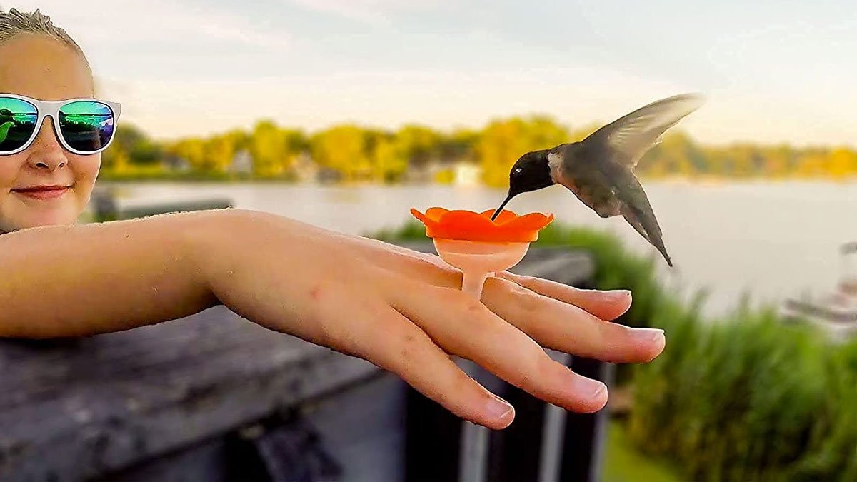 Hummingbird Ring Feeder