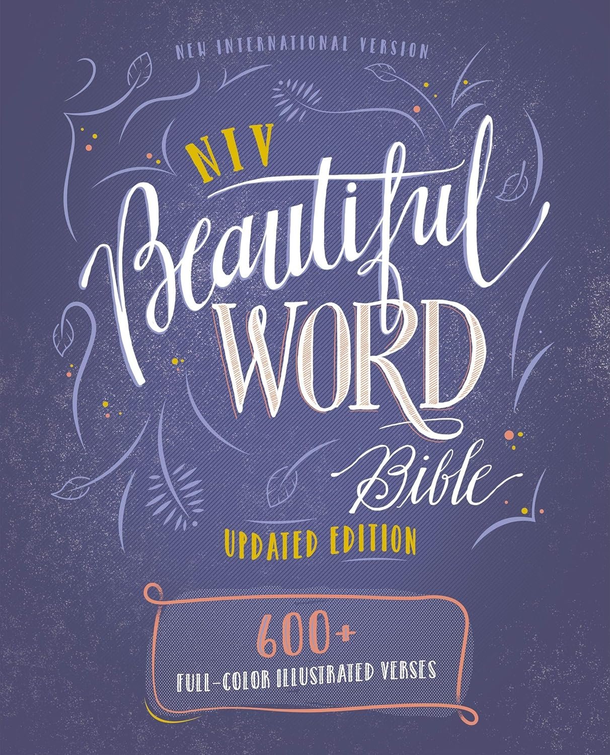 Experience Scripture Like Never Before: Illustrated NIV Bible