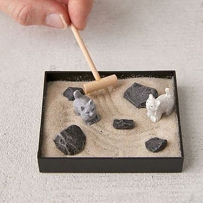 Kitty Litter Box Zen Garden