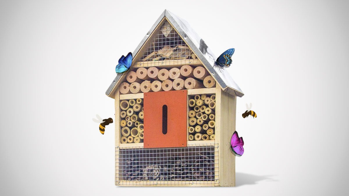 Ladybug, Bee & Butterfly House