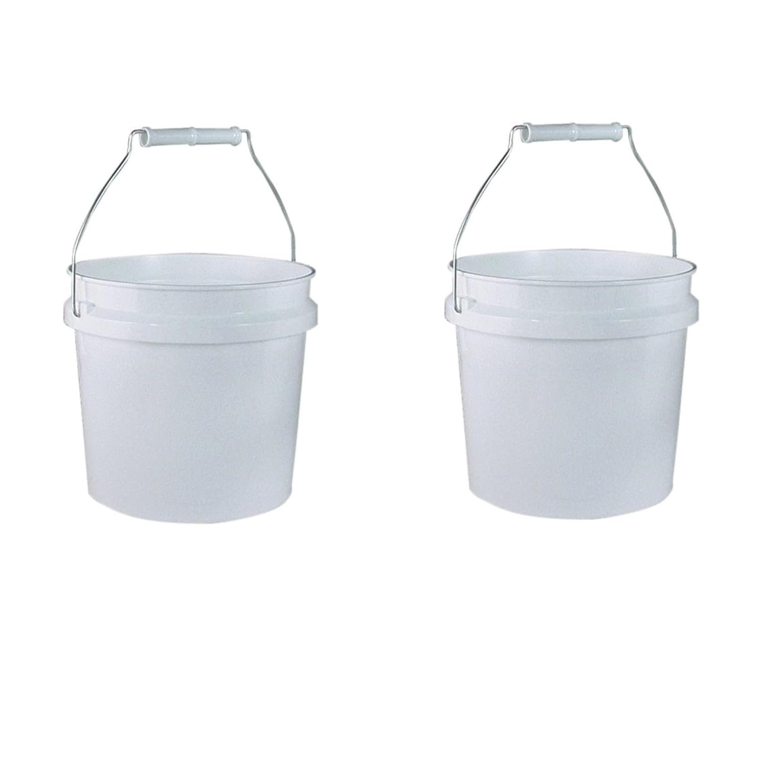 Leaktite Paint Pairs: Durable 1-Gal Buckets for Pro Projects
