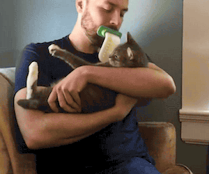 Licki Cat Hair Brush