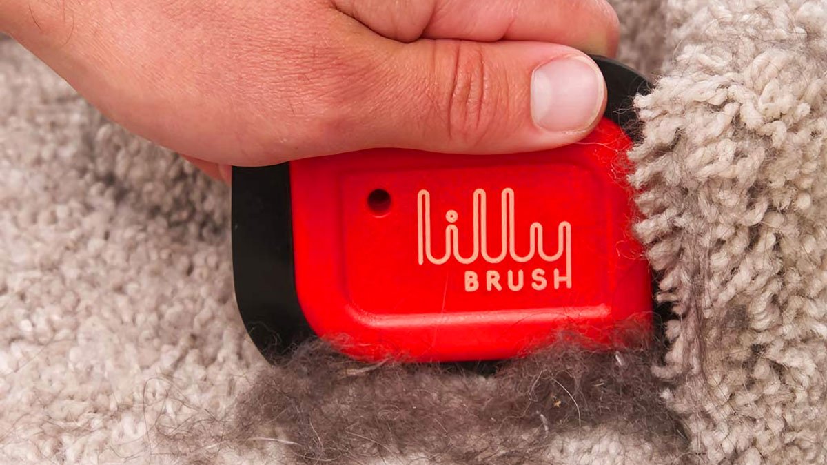 Lilly Brush Pet Hair Remover