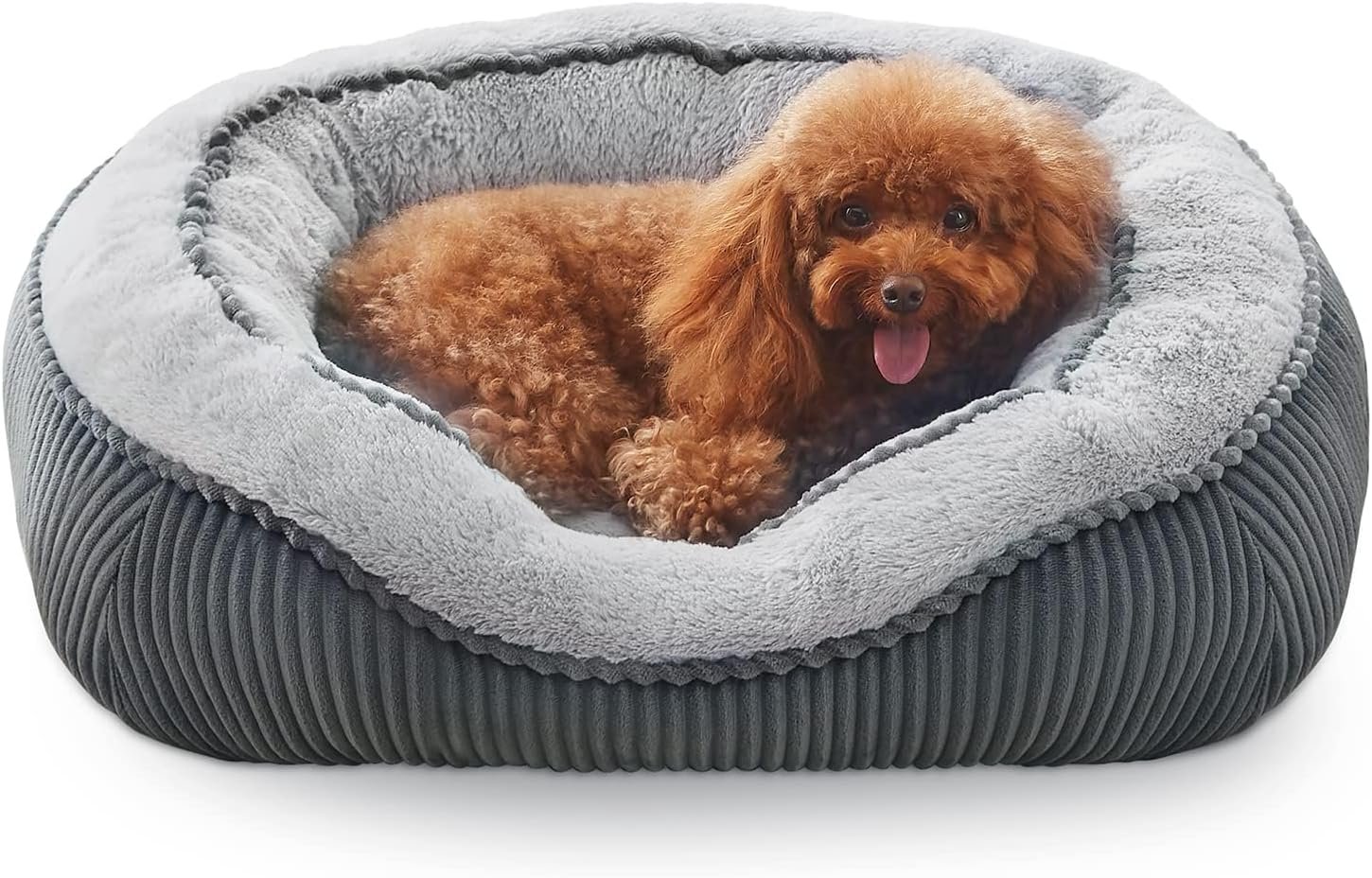 Luxury Orthopedic Dog Bed - Comfort & Support