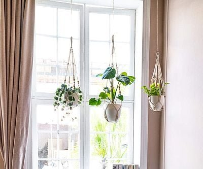 Macrame Plant Hangers