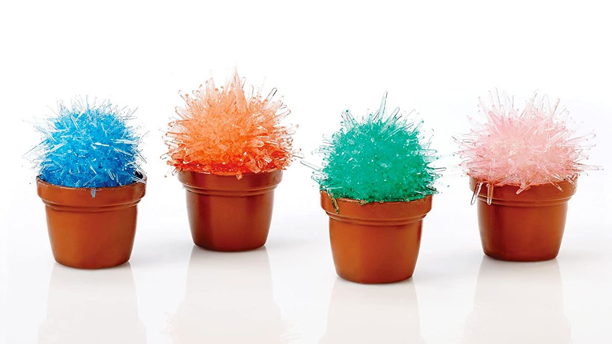 Magicactus Kit - Miniature Crystal Cactus Growing Set