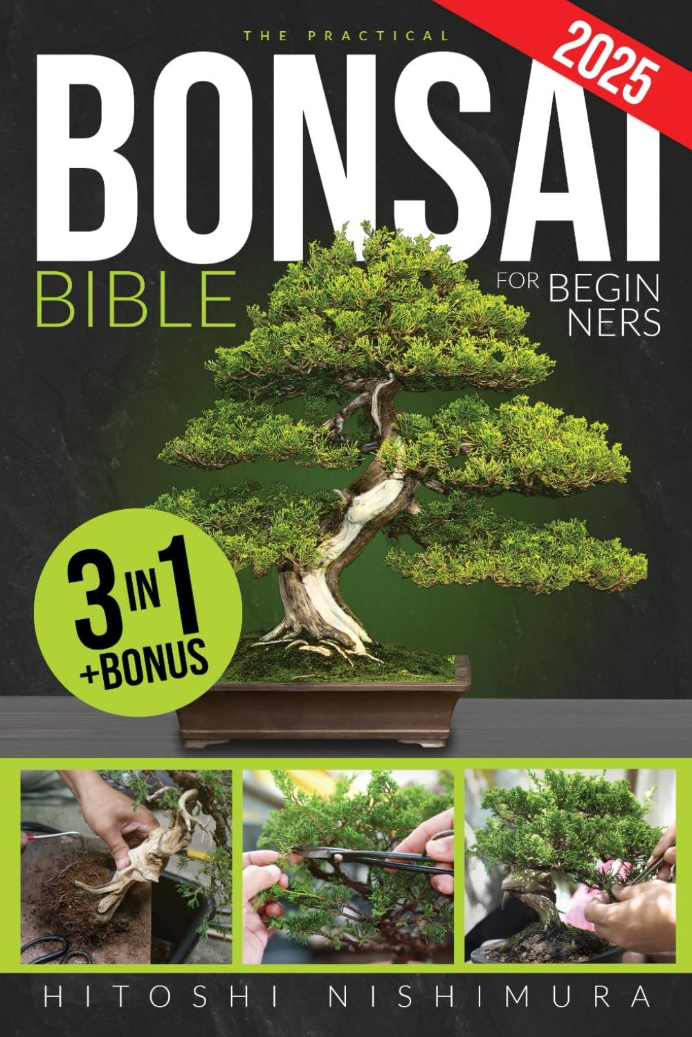 Master Bonsai: Beginner’s Guide to Timeless Trees