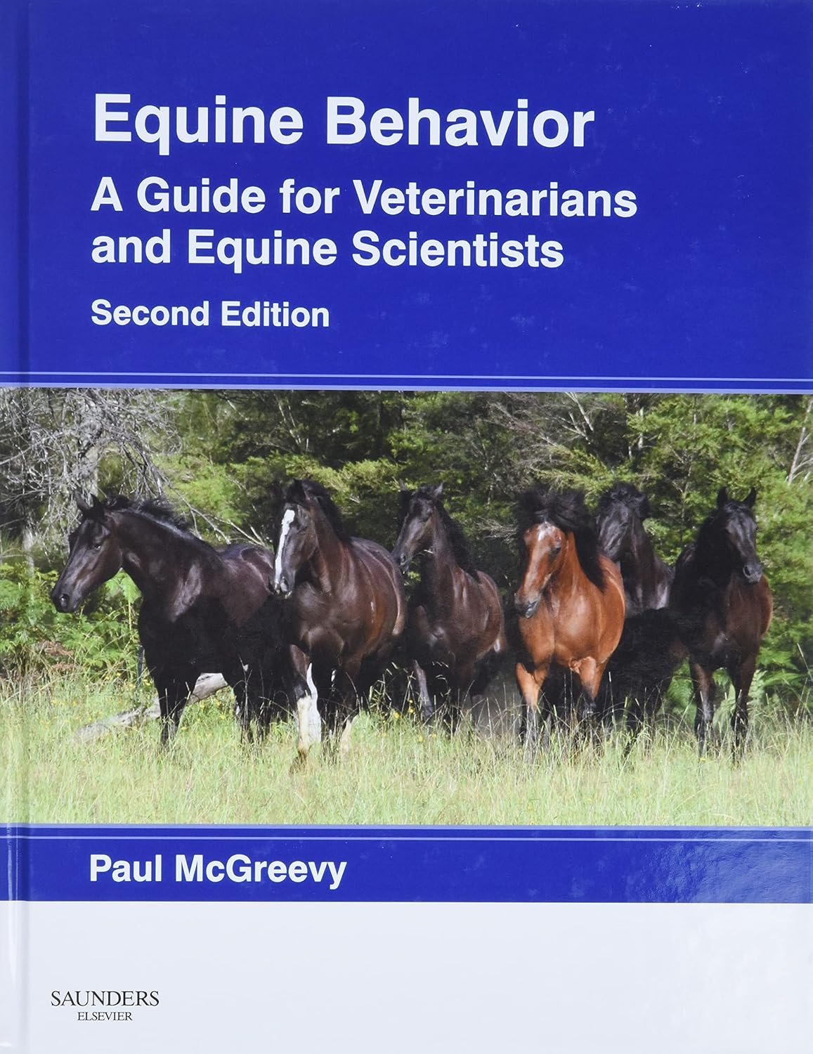 Master Horse Behavior: Vet's Essential Guide