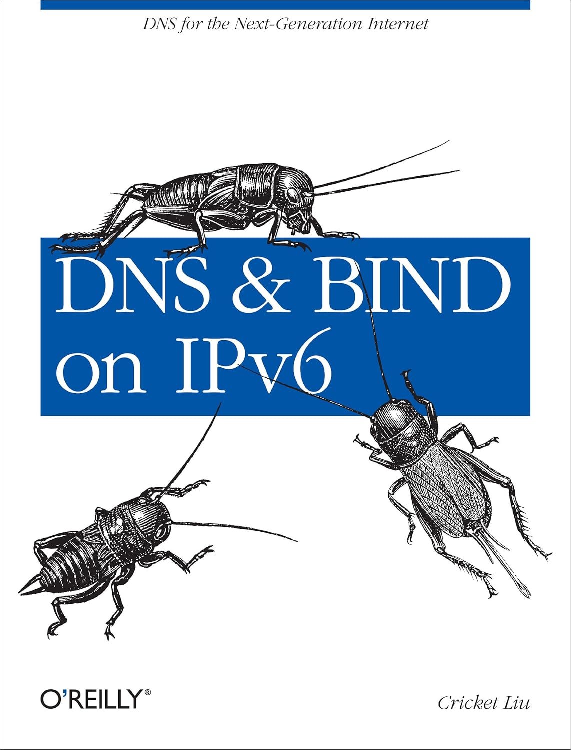 Master IPv6 DNS with BIND Essentials