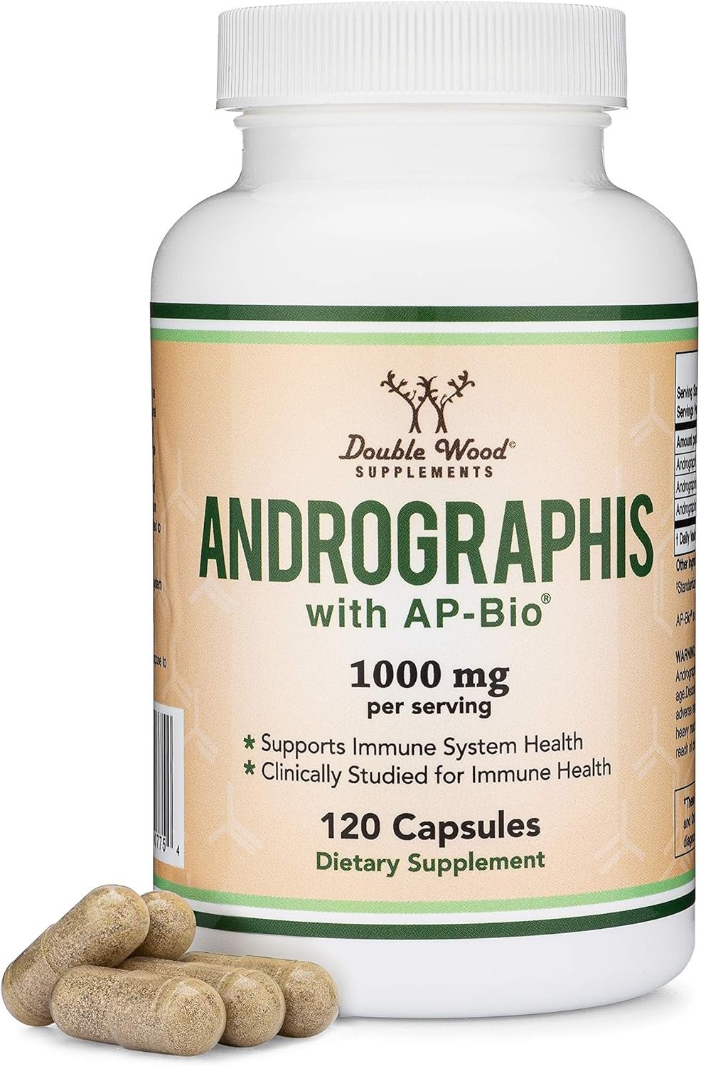 Maximize Immune Support with Andrographis Capsules
