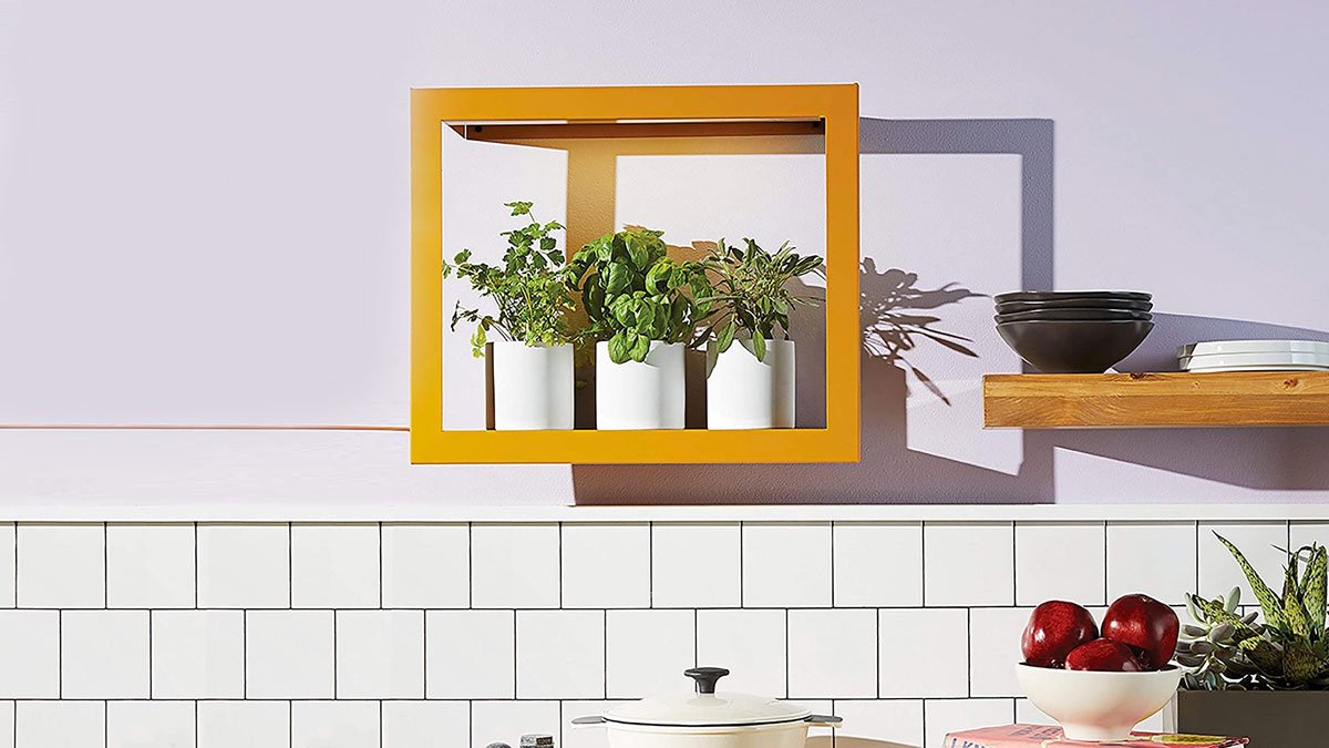 Modern Sprout Growframes - Wall-Mounted Grow Lights