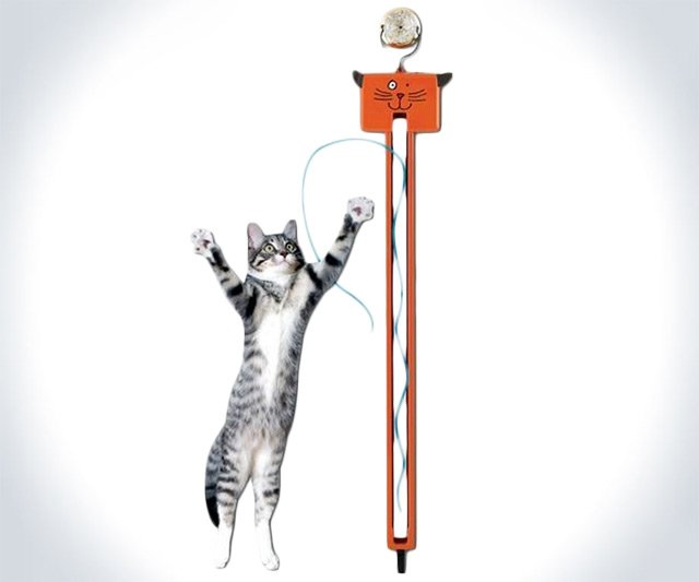 Moody Pet Fling-Ama-String