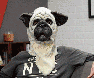 Mouth Moving Animal Masks