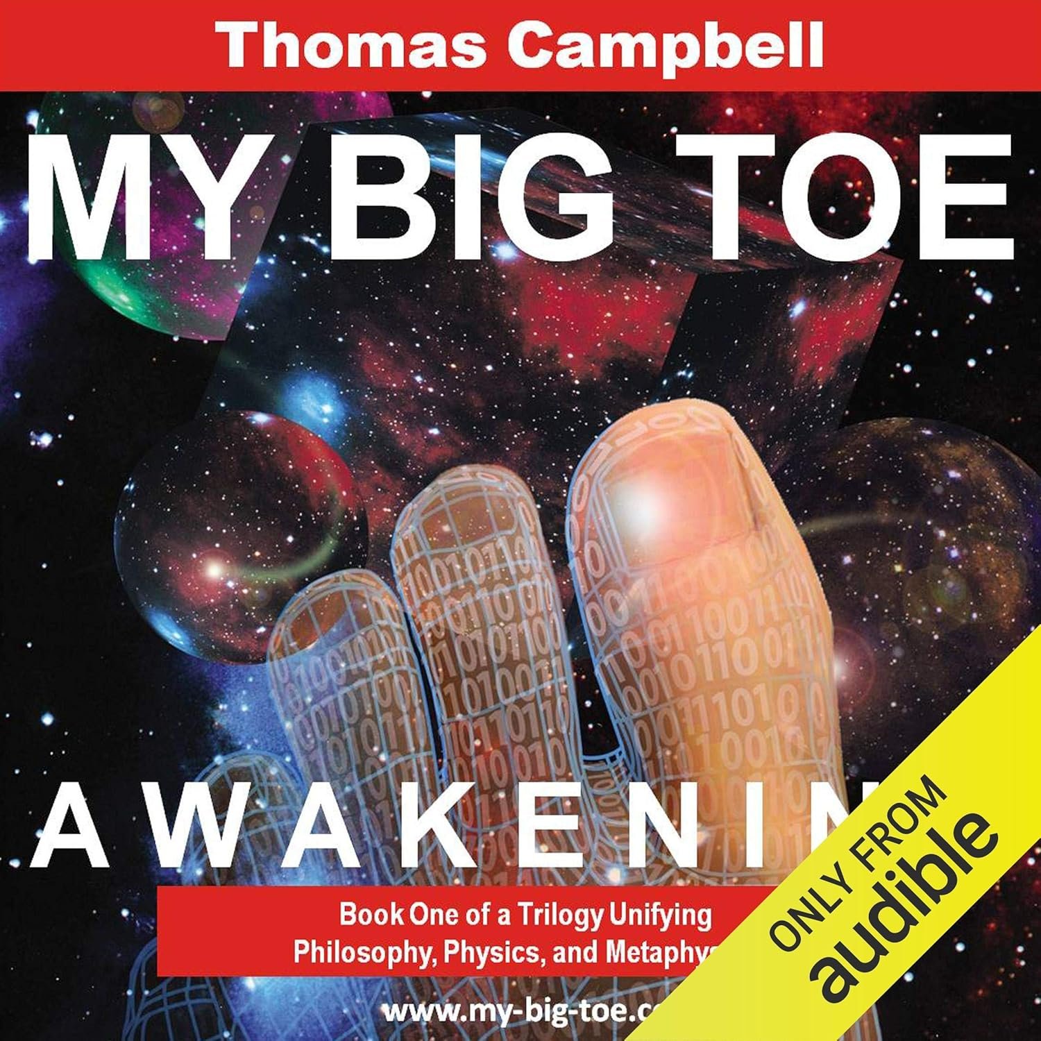 My Big TOE: Awakening – A Journey into Understanding