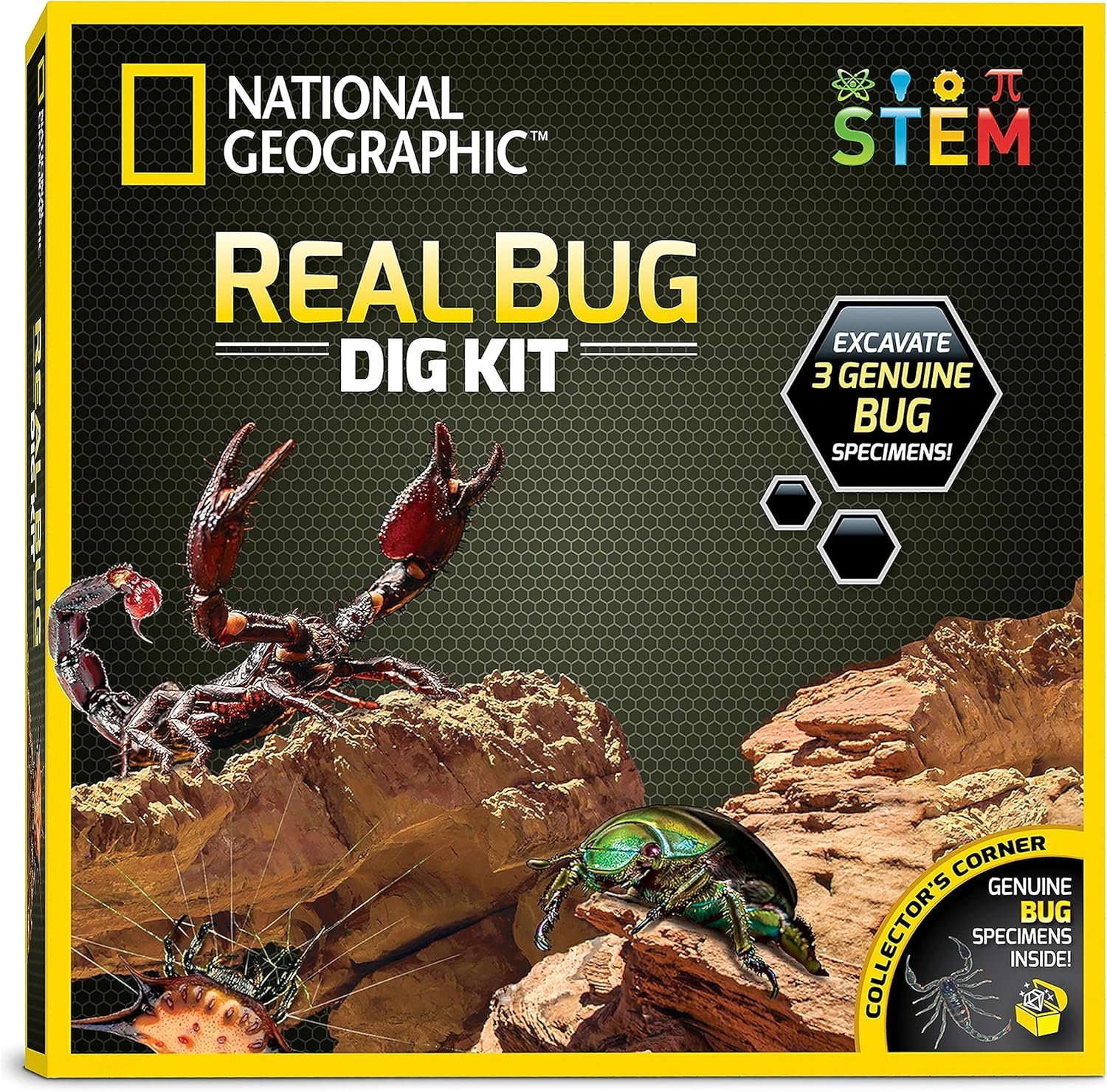 Unearth Real Bugs: Spider, Beetle & Scorpion Dig Kit
