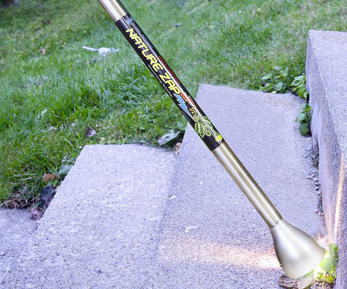 NatureZap Weed Killer