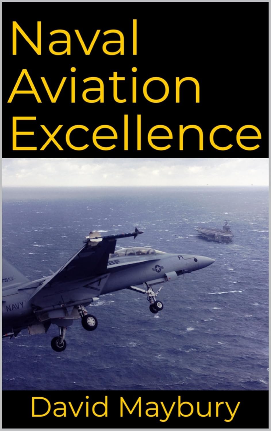Explore the Thrills of Naval Aviation