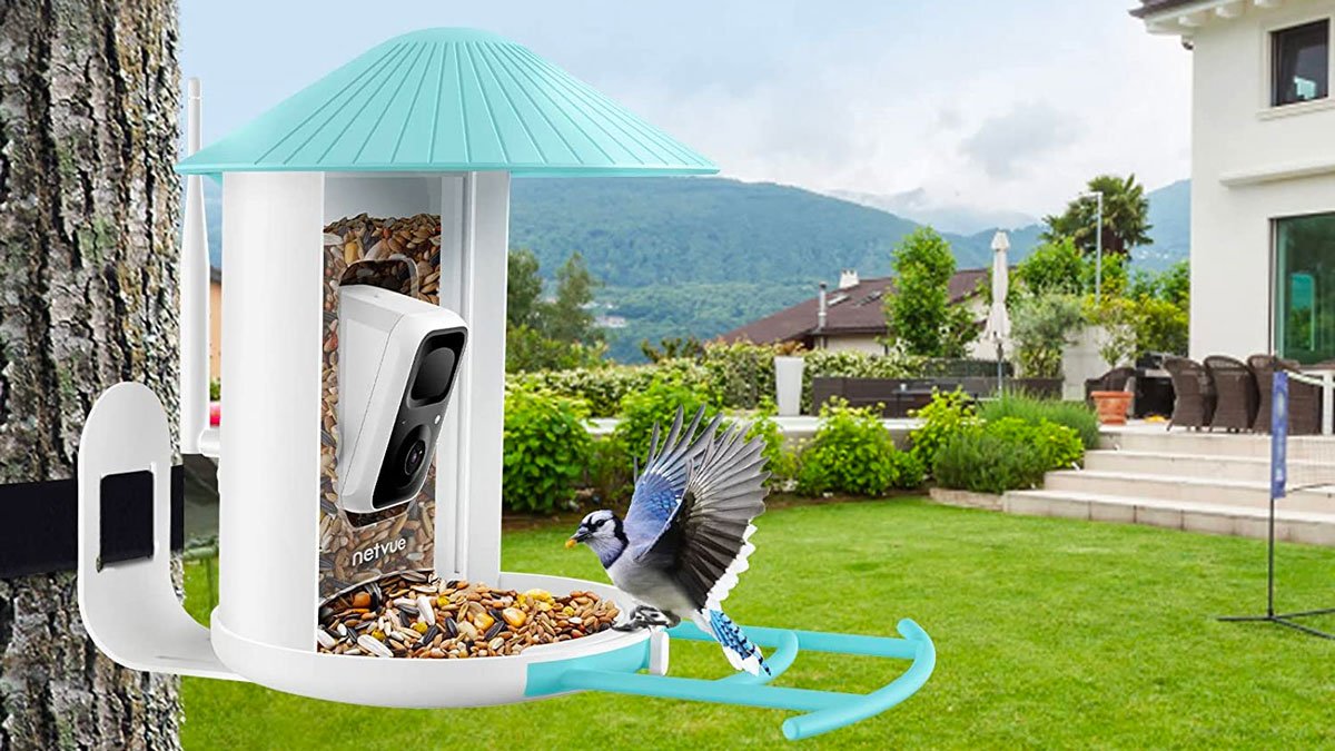 NETVUE Birdfy Lite Smart Bird Feeder with Camera