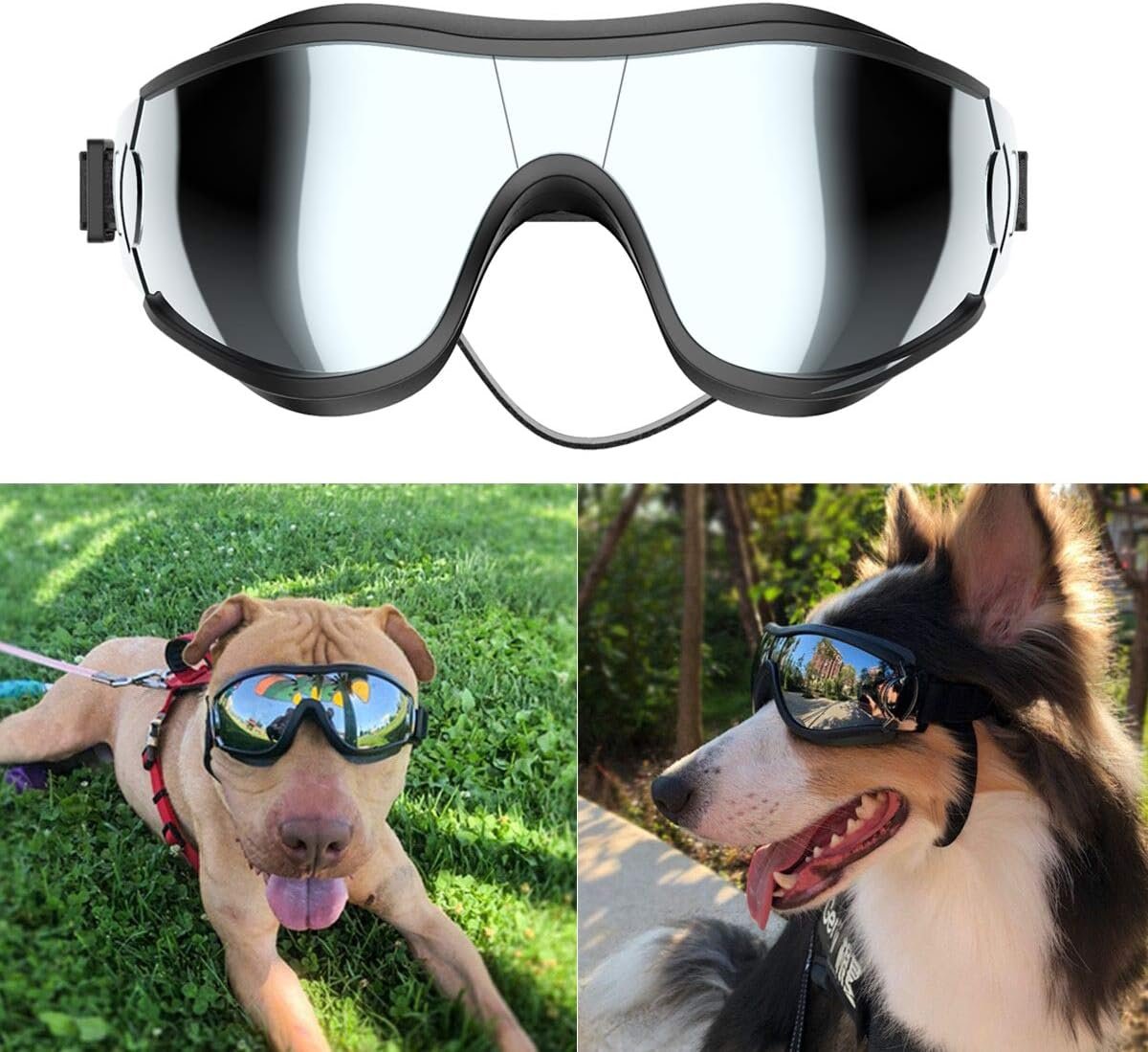 Stylish Sunglasses for Your Furry Friends