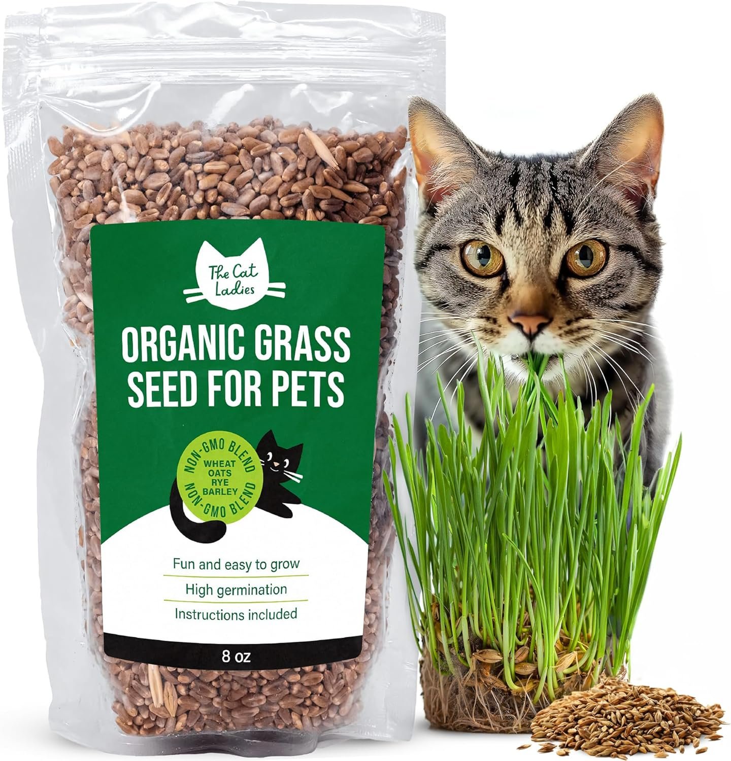 Grow Happiness with Organic Cat Grass Seeds
