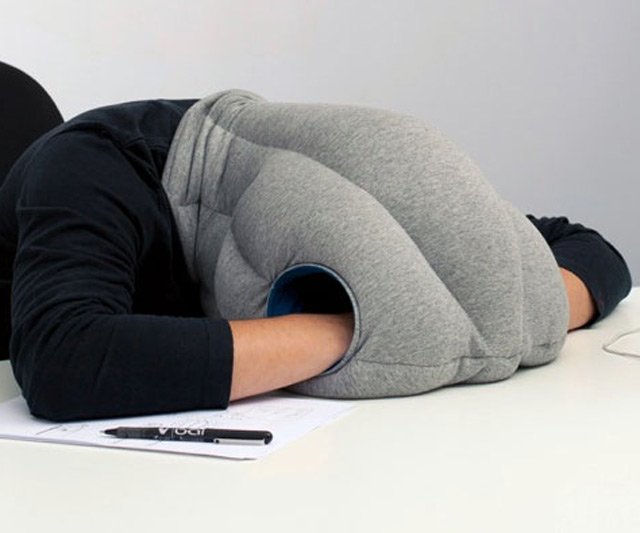 Ostrich Pillow