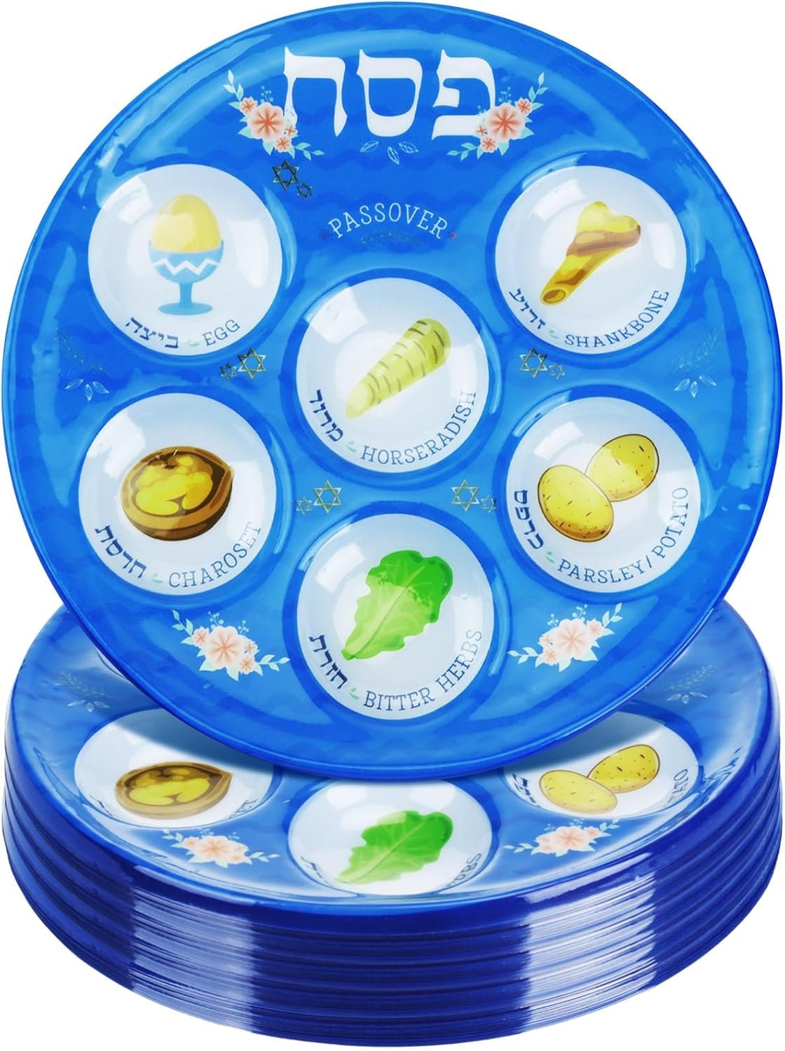 Traditional Passover Seder Plates Set - 20 Disposable